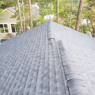 A close up of a roof with trees in the background.