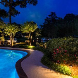 A swimming pool is lit up at night and surrounded by trees and bushes.