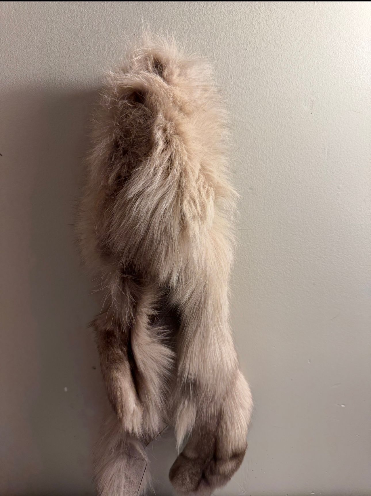 DYO- Design Your Own real fur cat toy!