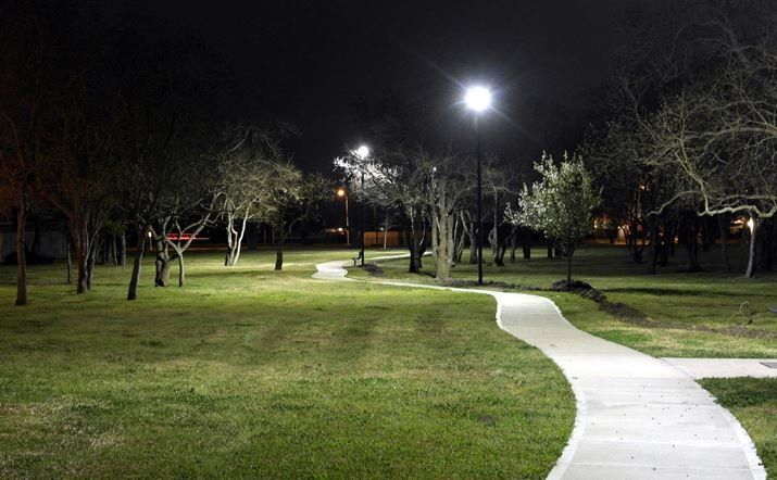 A path in a park is lit up at night.