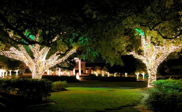Two trees are decorated with christmas lights in a park at night.