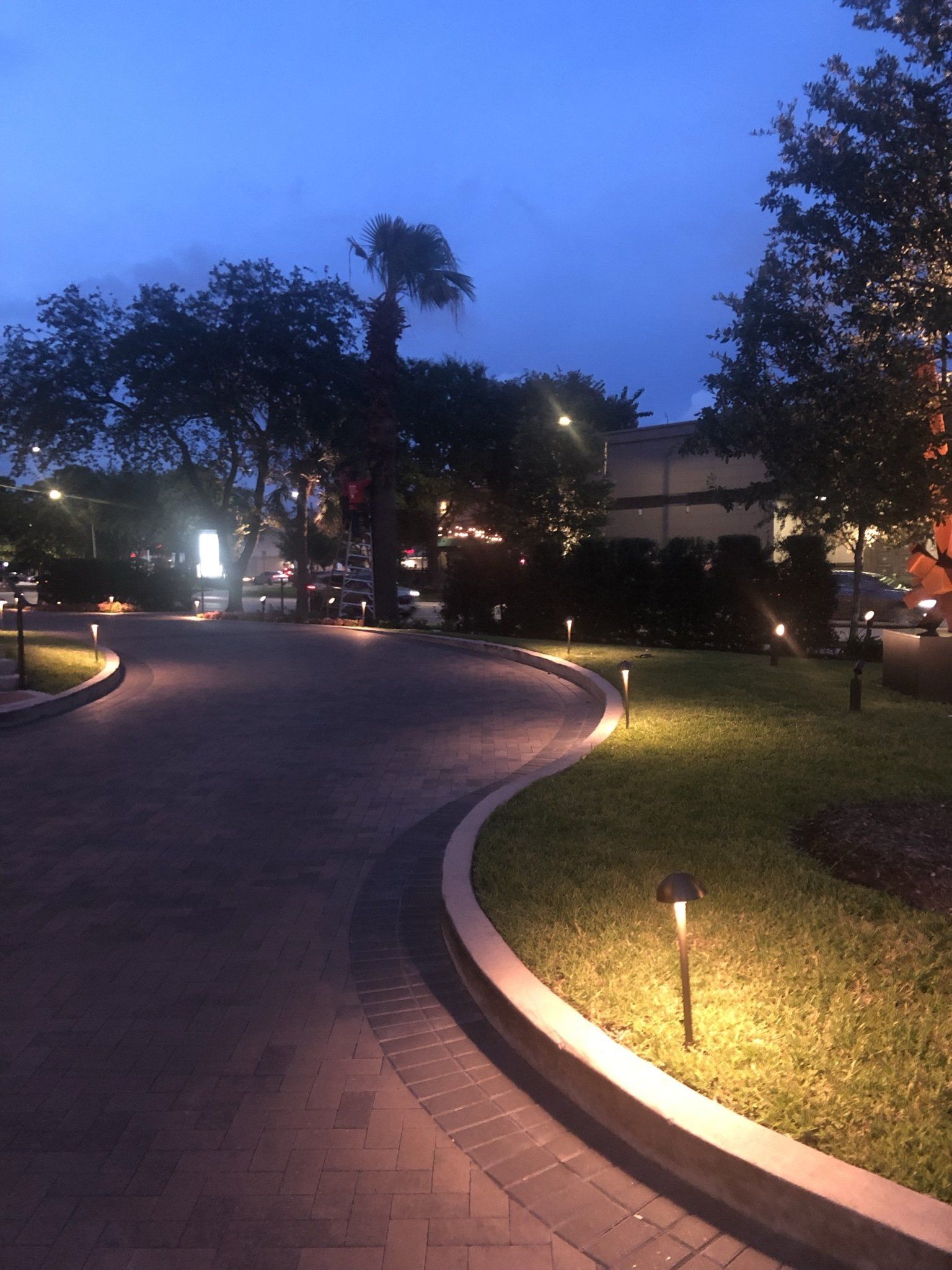 A brick driveway with lights on the side of it at night