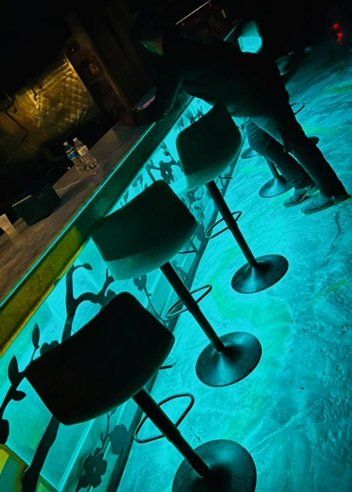 A row of bar stools are lined up next to a bar in a dark room.