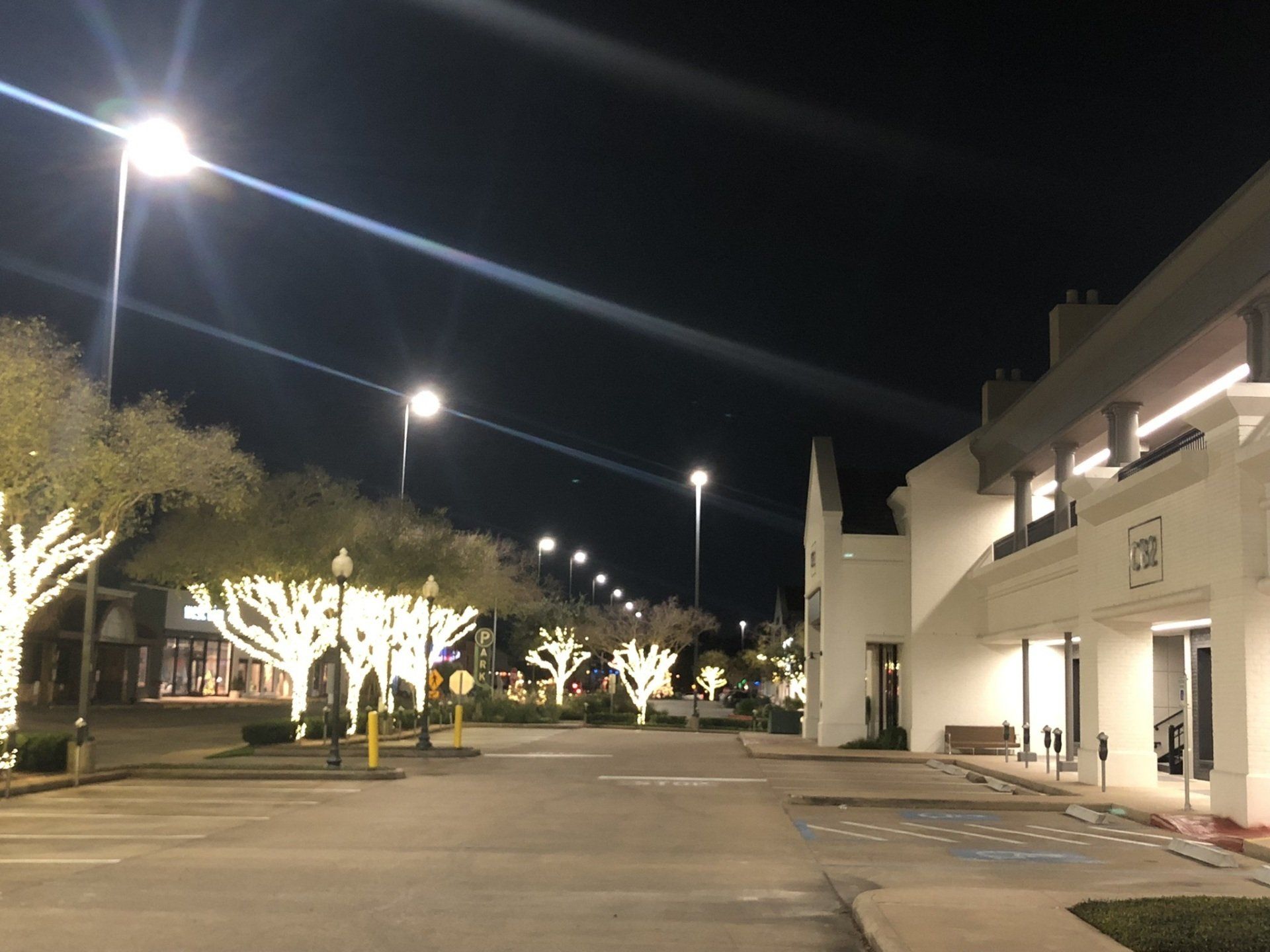 A parking lot with trees decorated with white lights at night