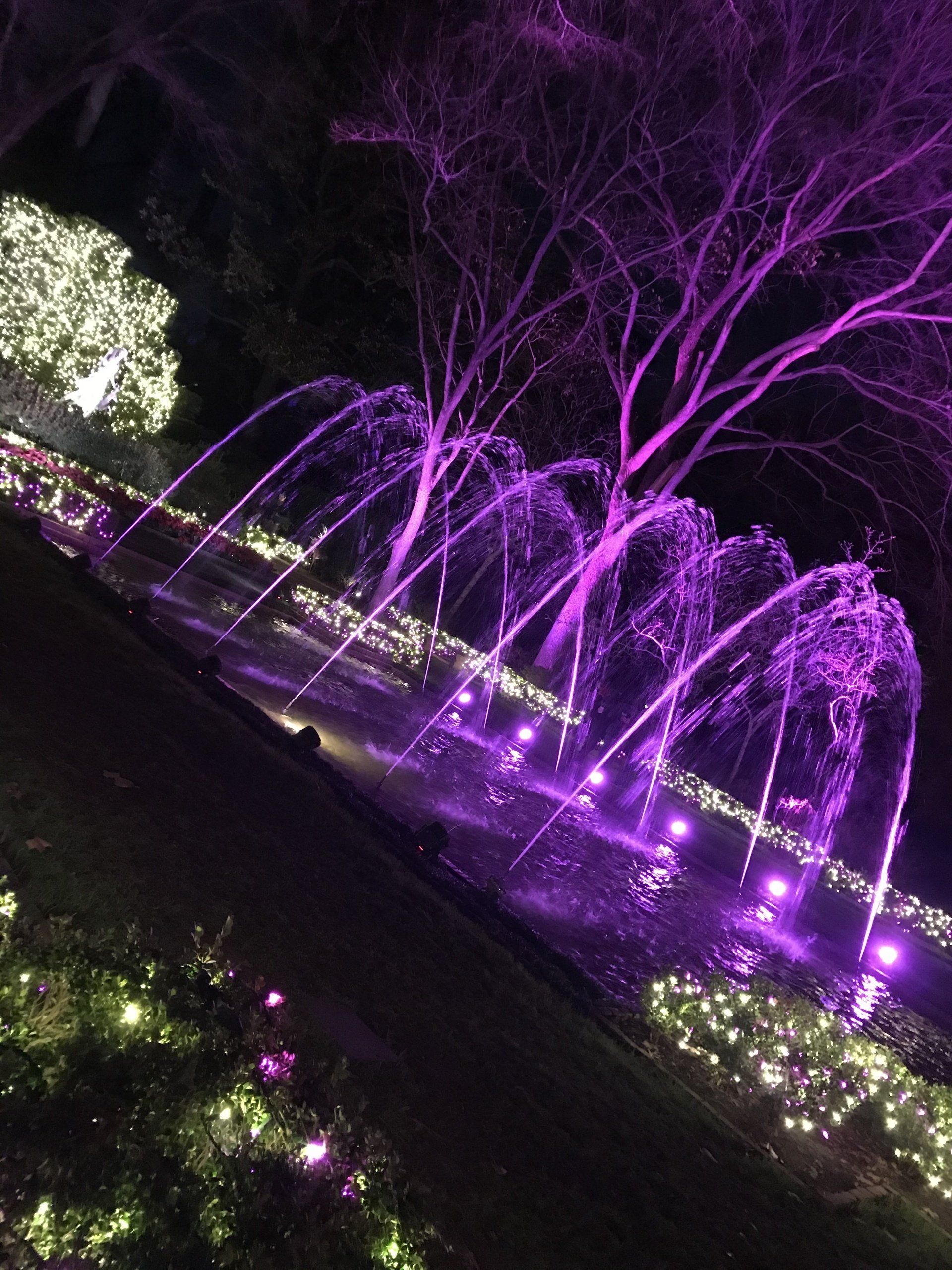 A fountain is lit up with purple lights at night.