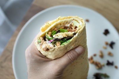 A person is holding a wrap in their hand in front of a plate.