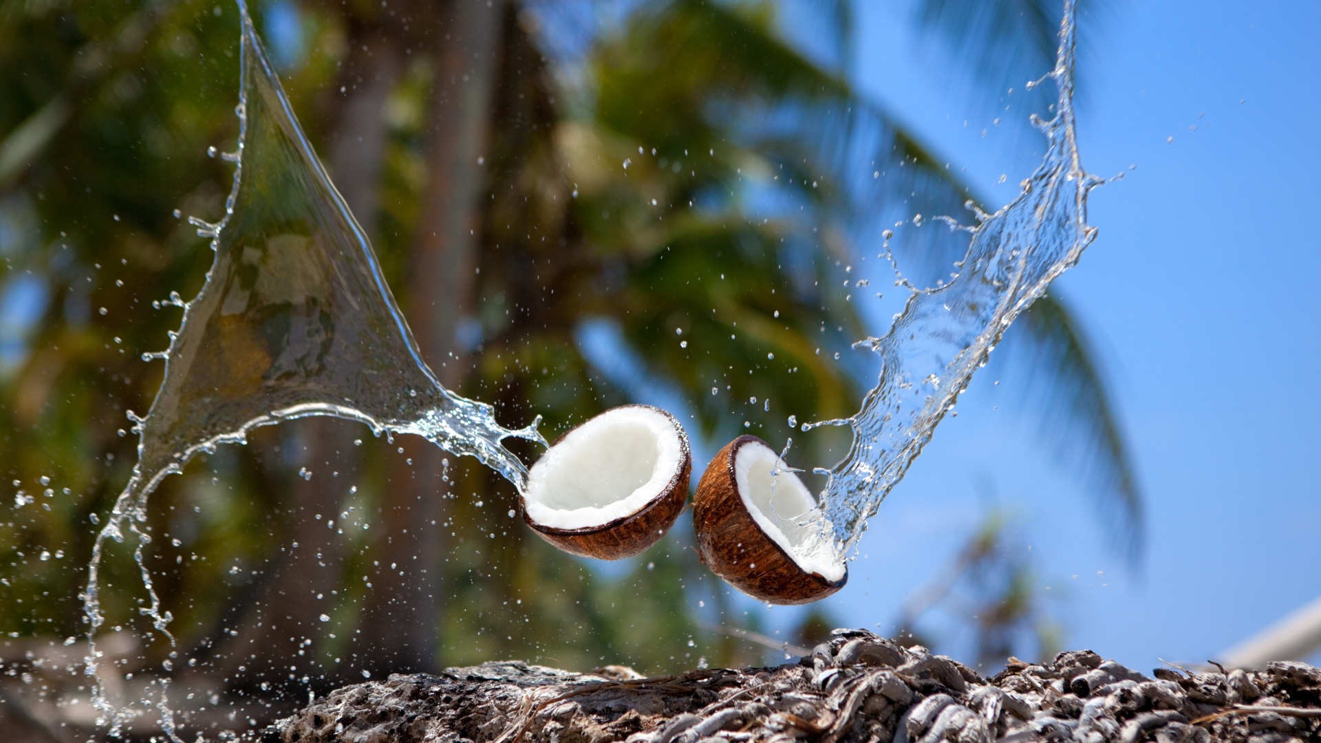 Two coconuts are being splashed with water on a roof.