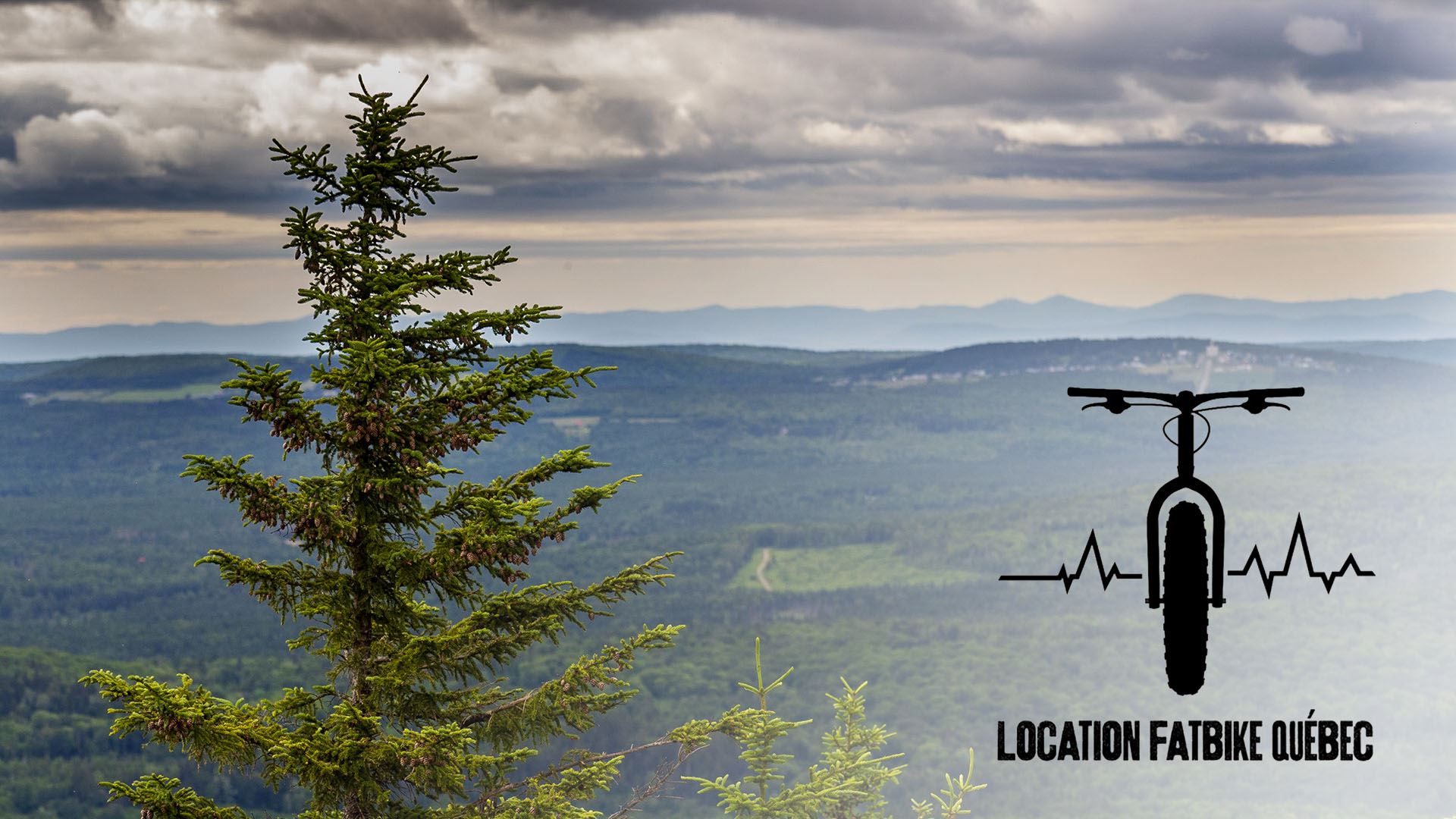 Mont Sugar Loaf en Fatbike électrique