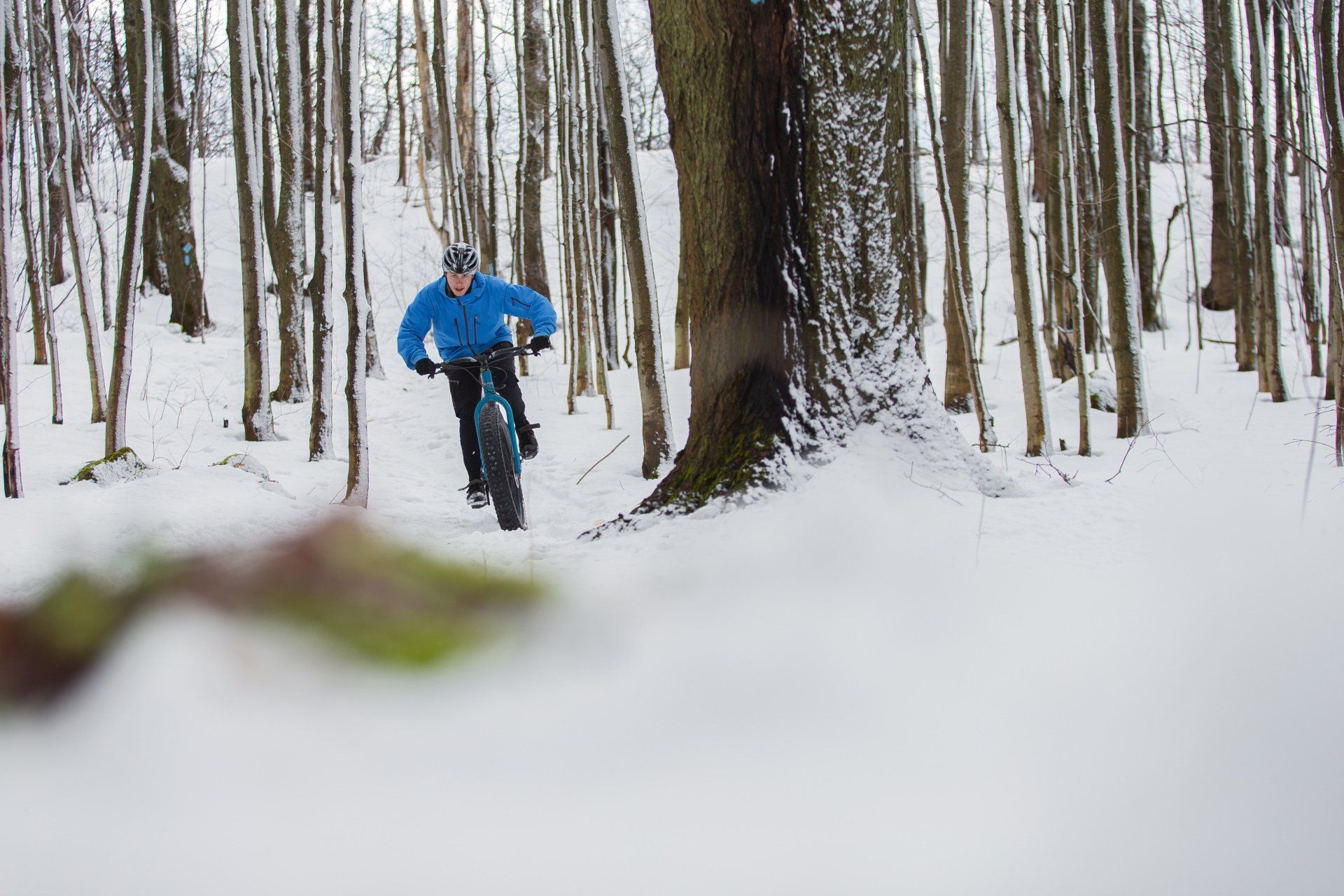Location de Fatbike électrique en forêt