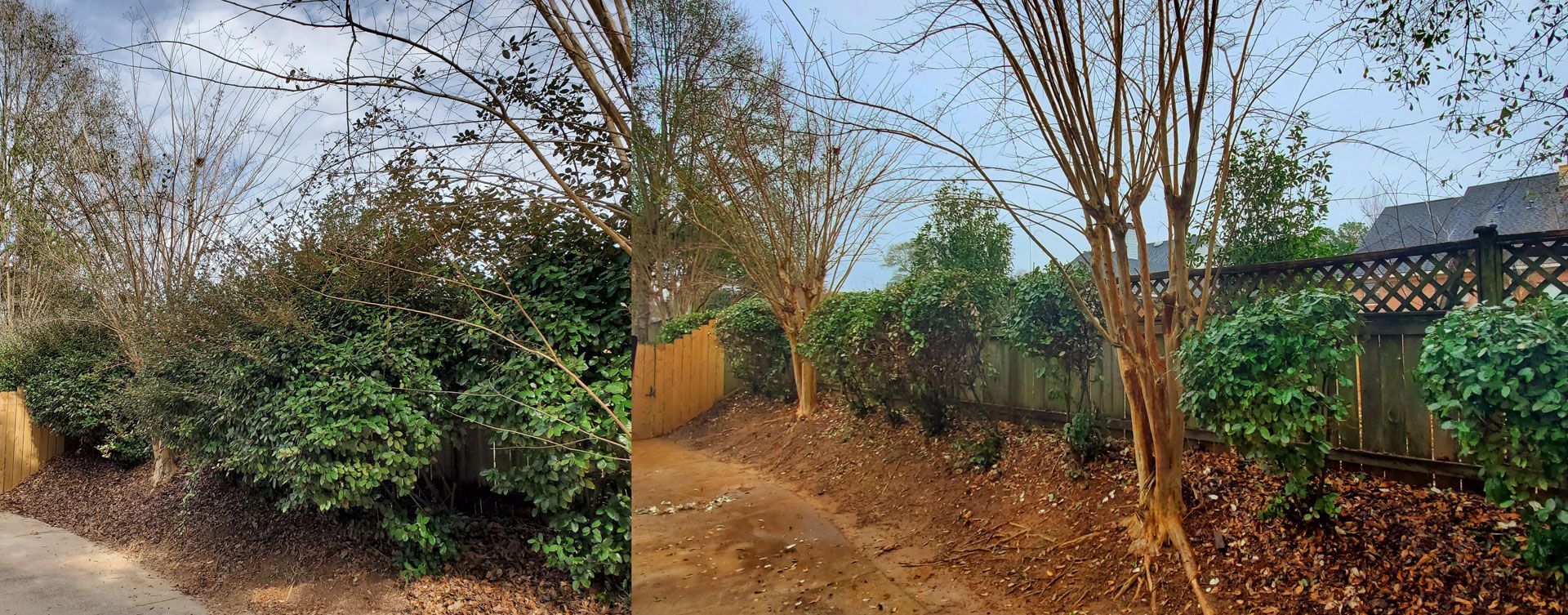 Chip Monk Lawn Maintenance