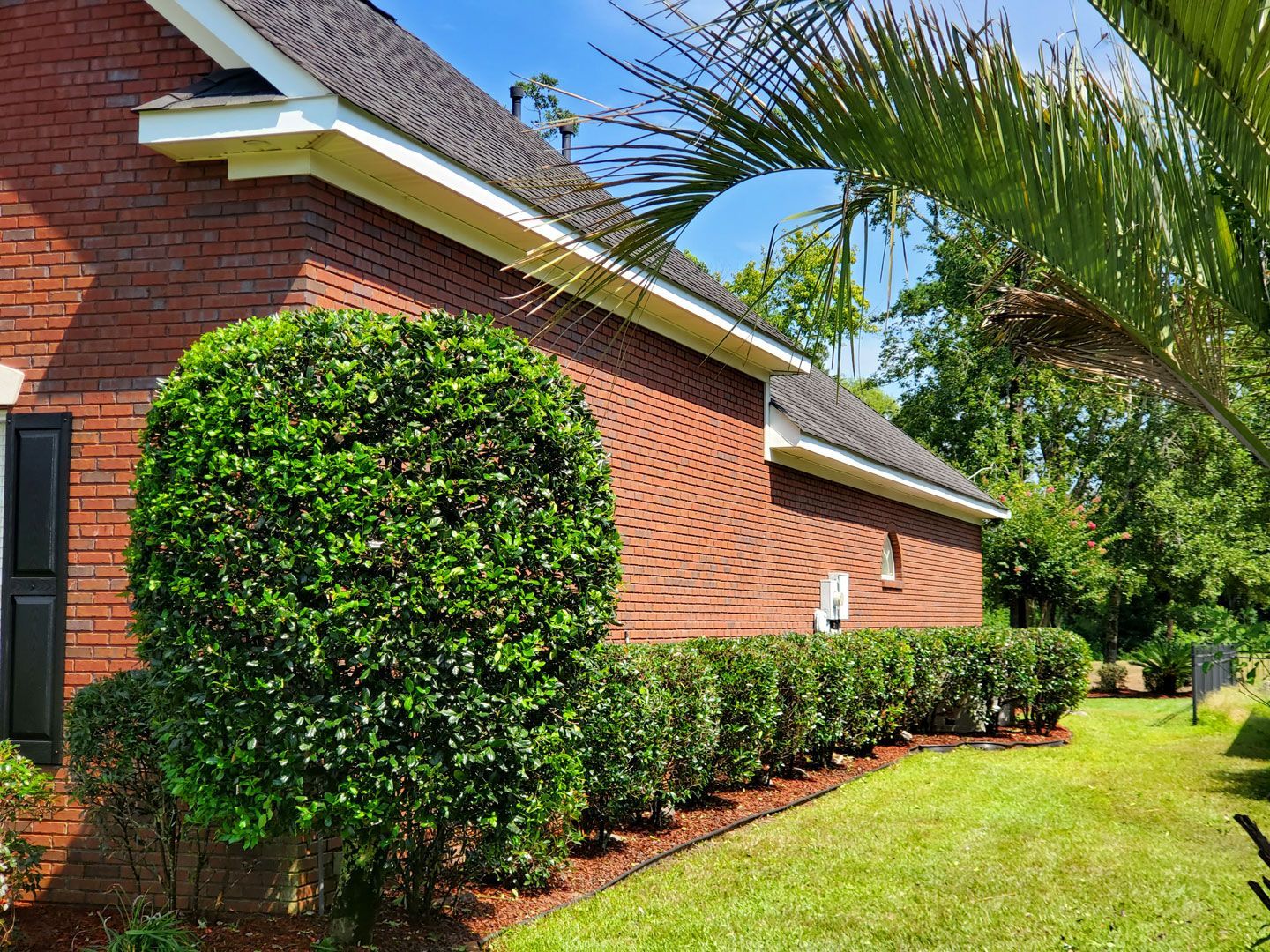 Chip Monk Lawn Maintenance