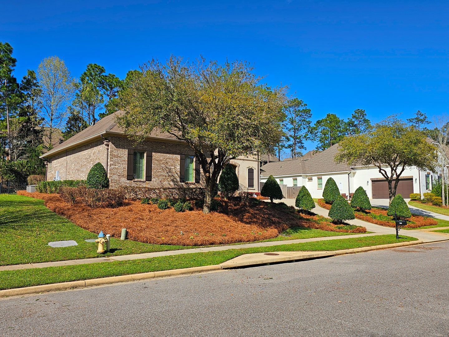 Chip Monk Lawn Maintenance