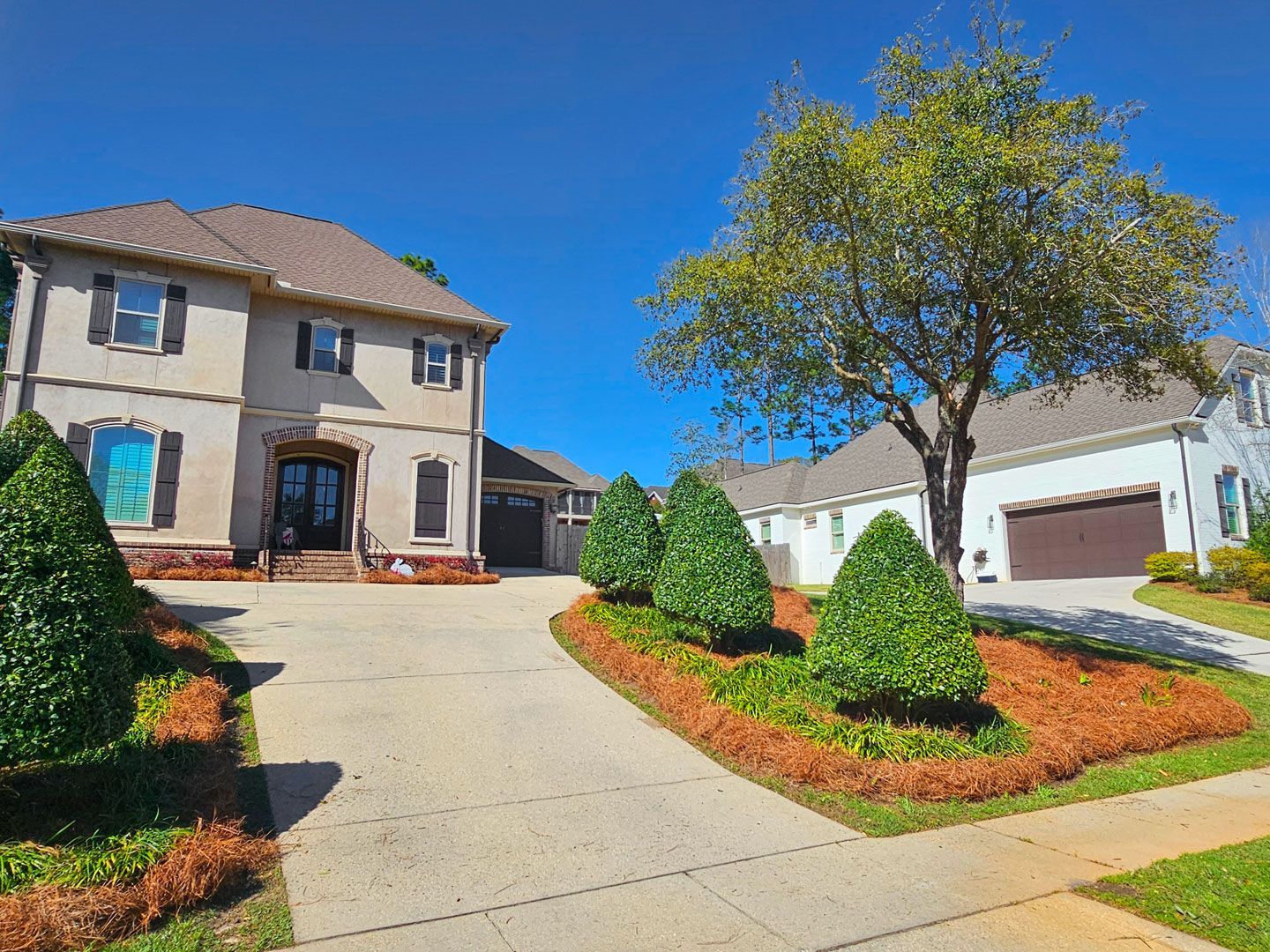 Chip Monk Lawn Maintenance