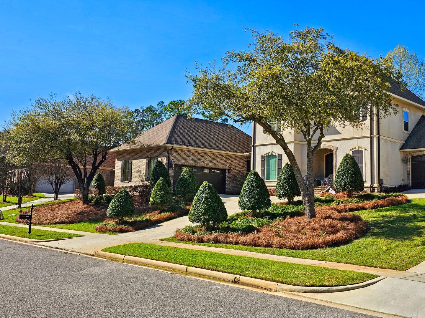 Chip Monk Lawn Maintenance