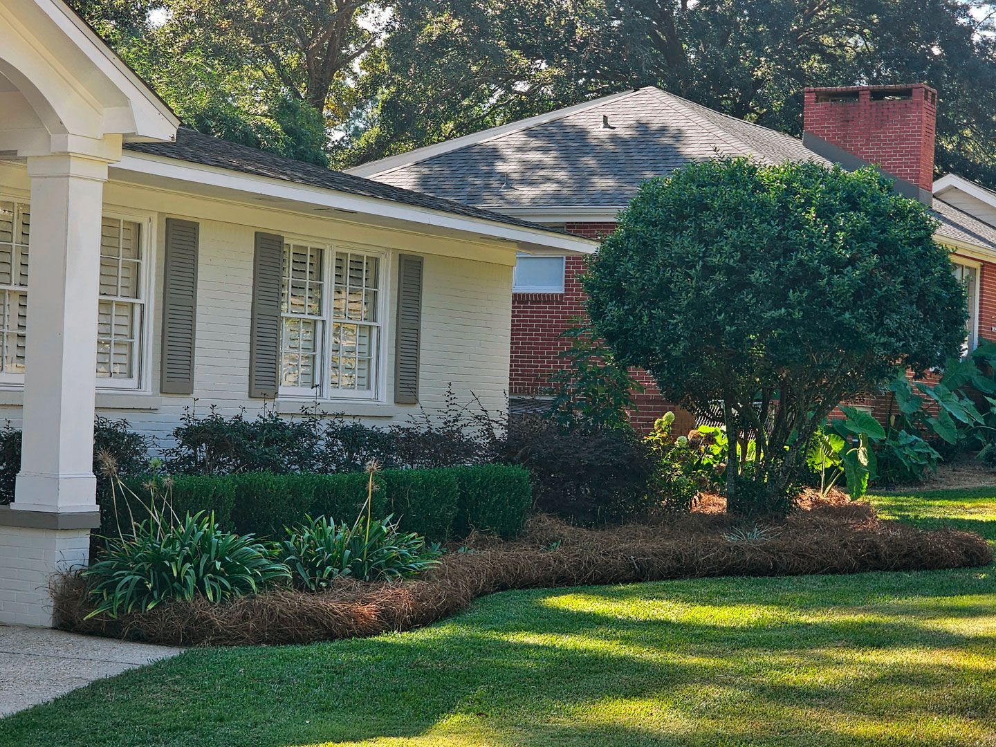 Chip Monk Mulch