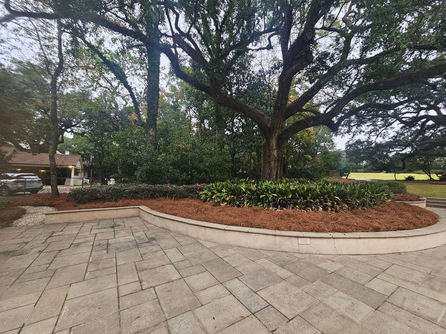 Chip Monk Mulch