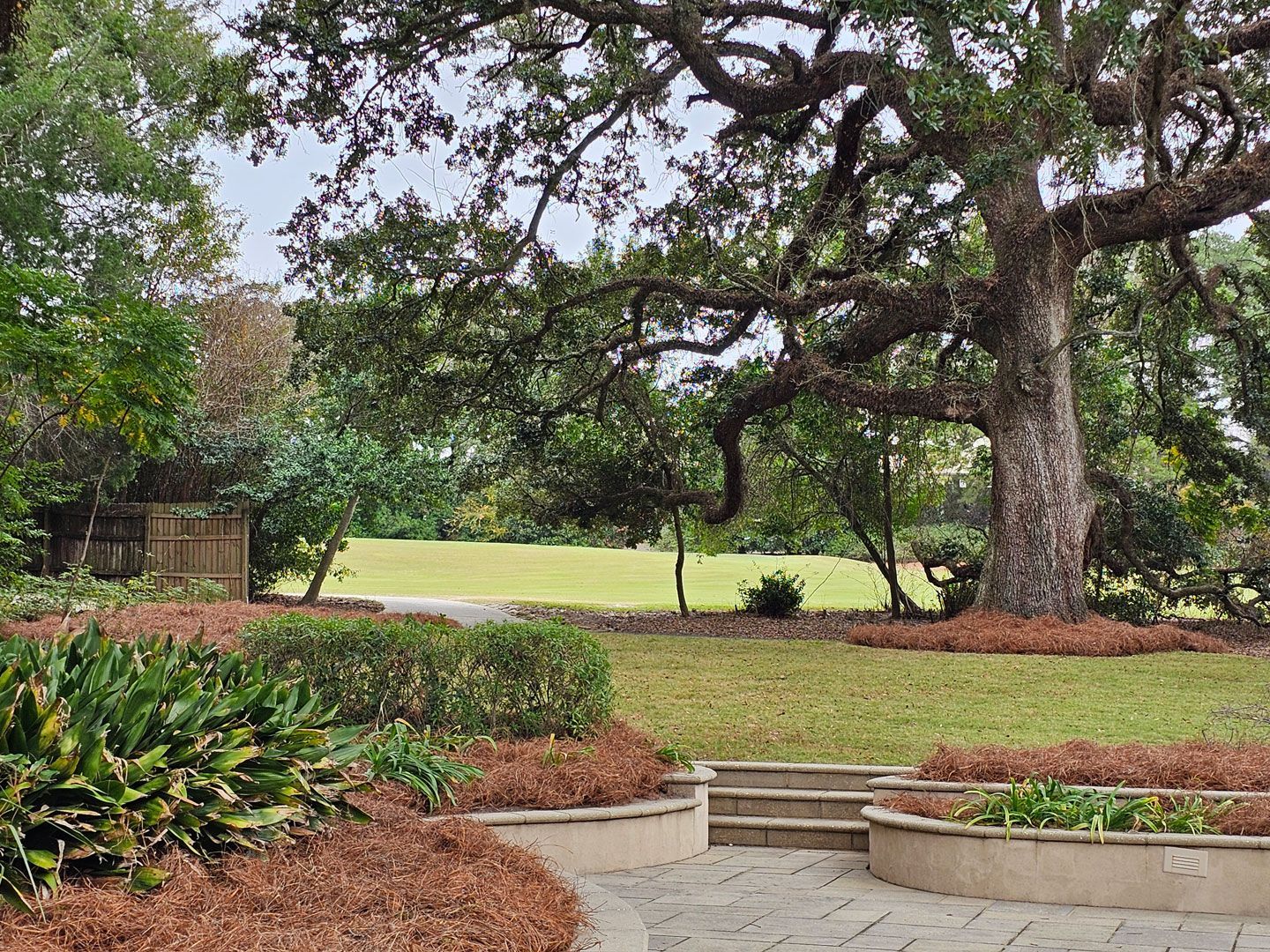 Chip Monk Mulch