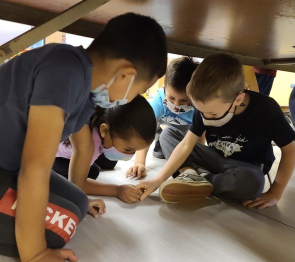 Children's Adventures Under the Table