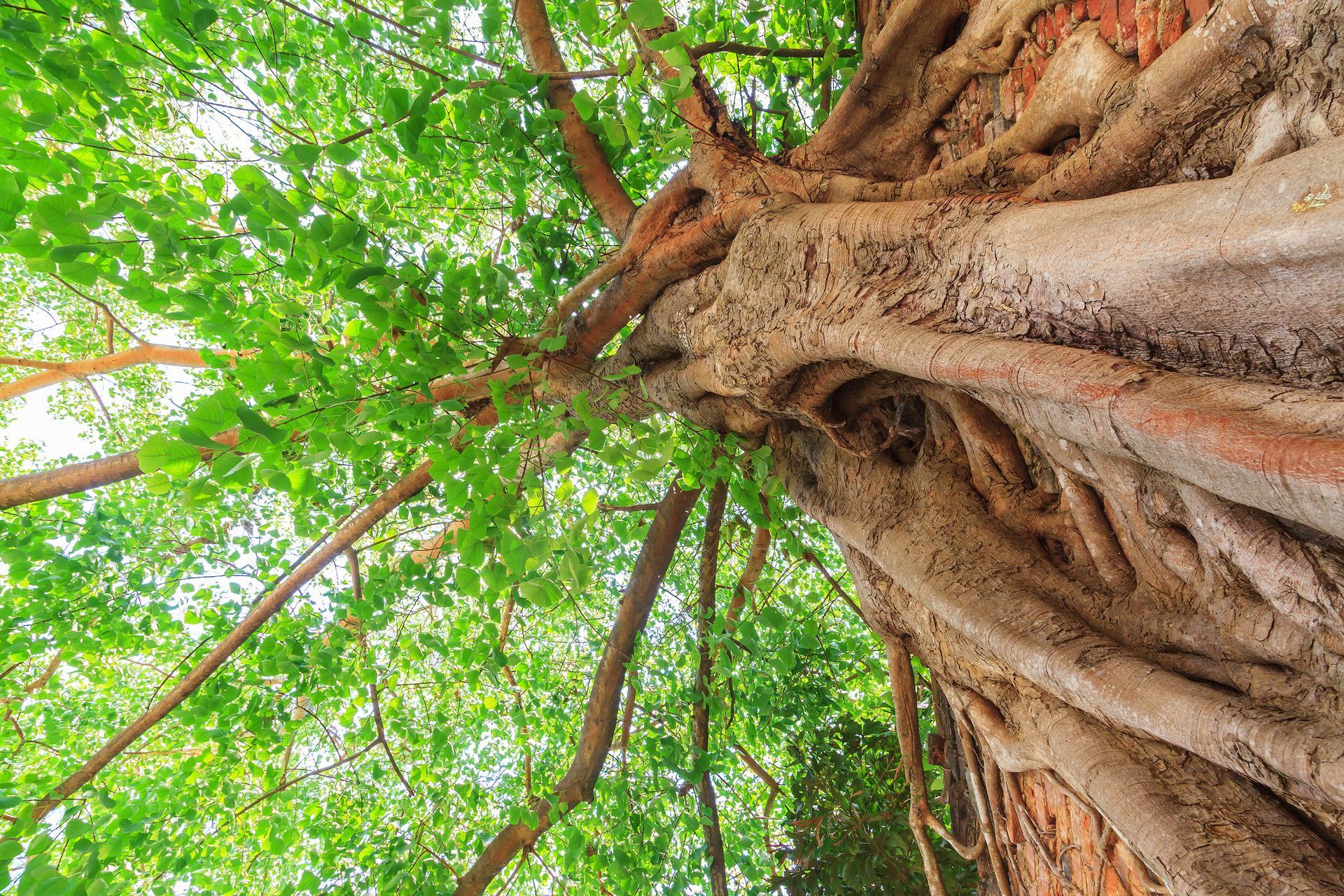 A sunset over a mountain range with a lot of fog