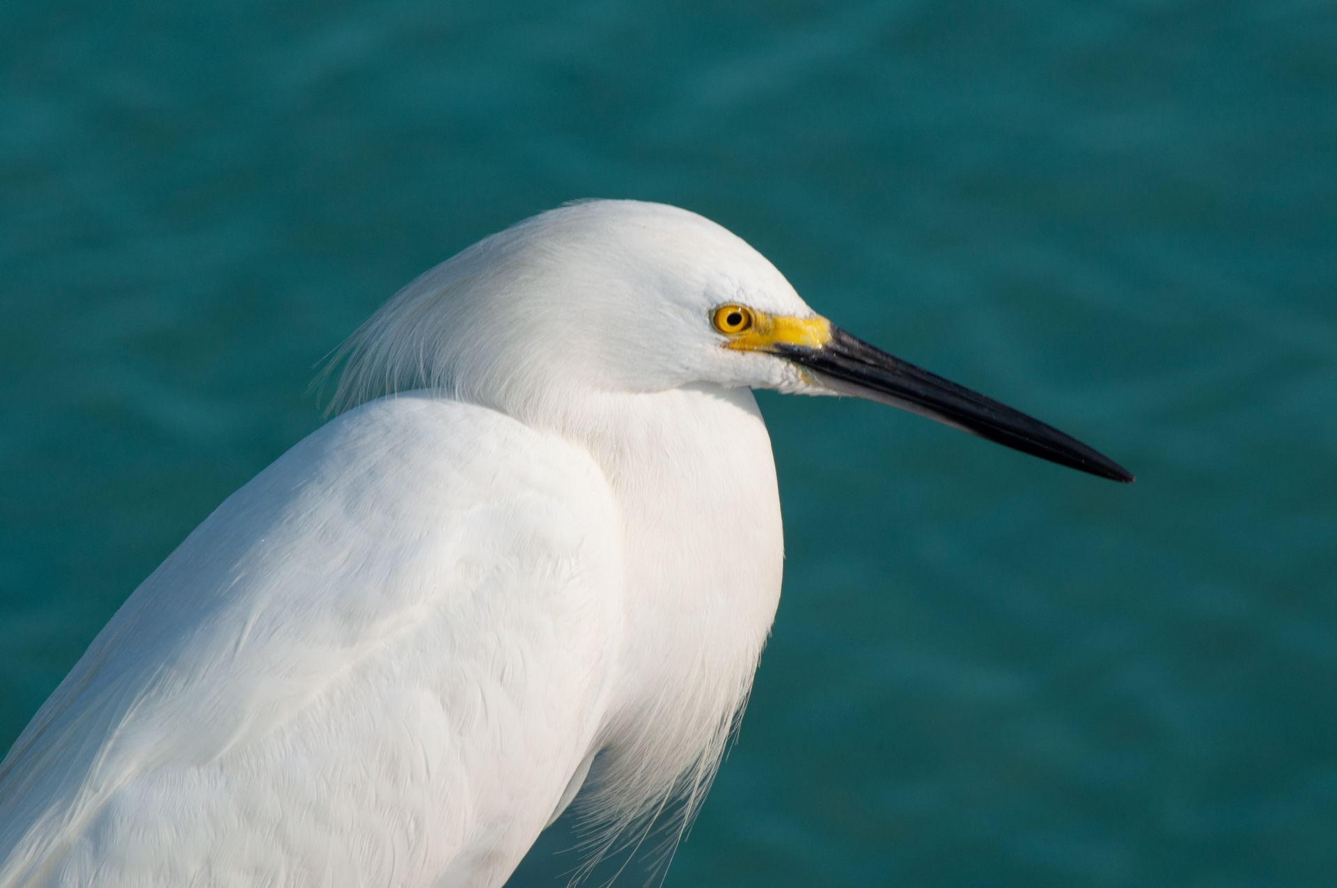 A sunset over a mountain range with a lot of fog