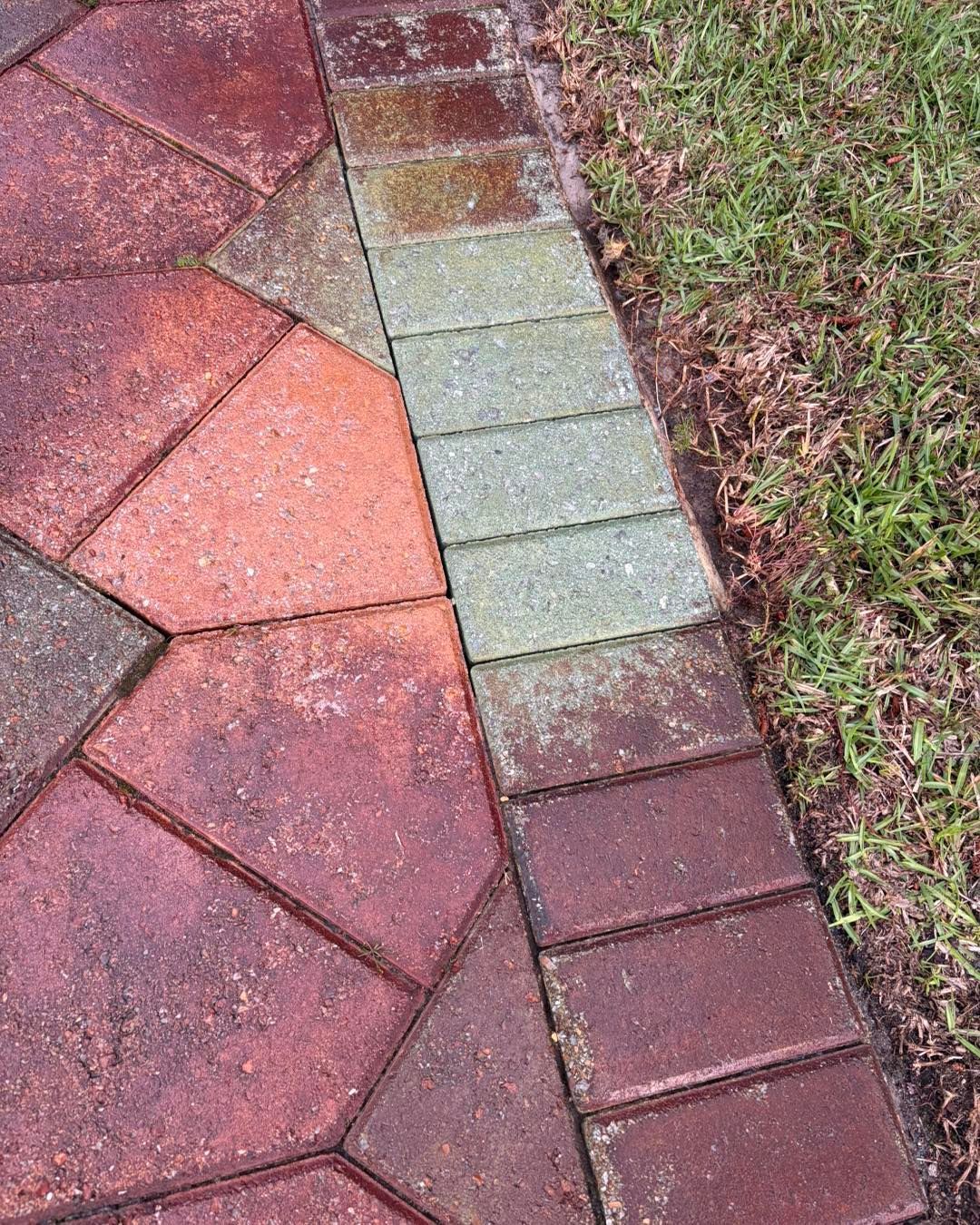 A close-up of a paved walkway with colorful stone tiles meeting a border of rectangular bricks next to a grassy edge.