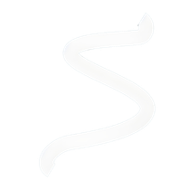 Spectrum Insurance Logo 