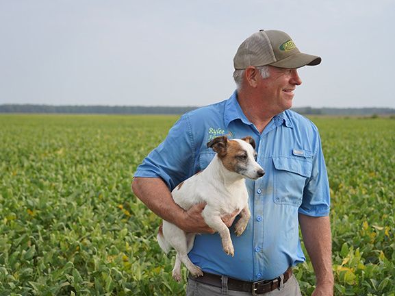 A person in a blue shirt and hat holds a small white and brown dog in a vast green field.