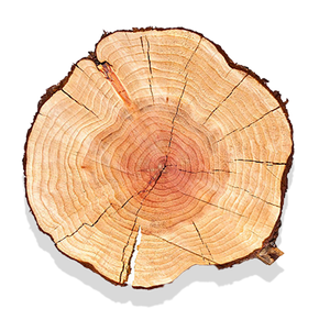 domestic wood inventory