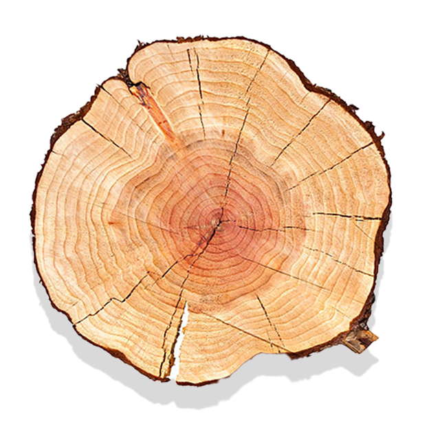 domestic wood inventory