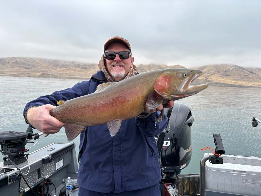 Man on a boat holding a large, colorful fish.