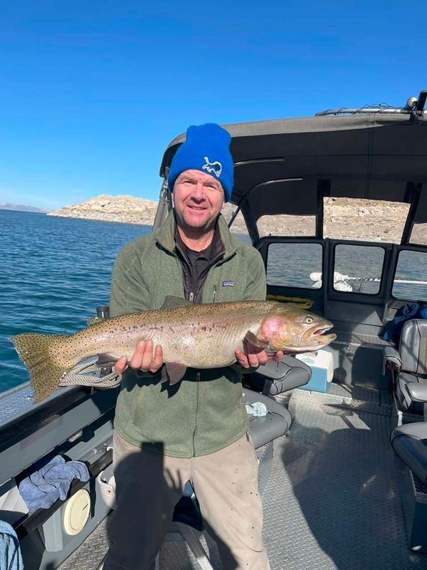 Man on a boat holds a large rainbow trout. 