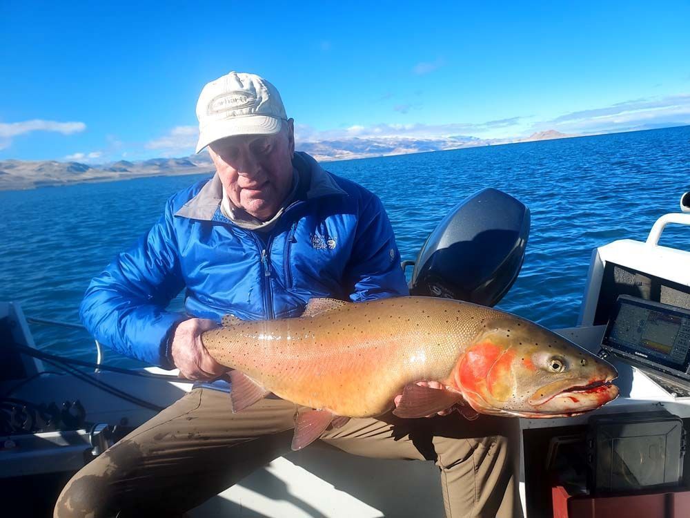 Man in blue jacket holding a large golden trout on a boat, lake in the background.
