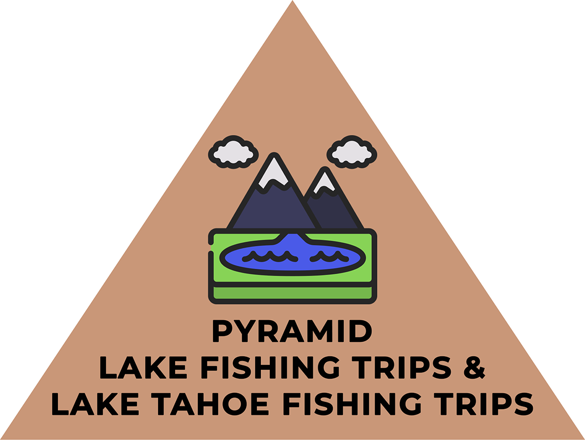 Pyramid Lake Fishing Trips & Lake Tahoe Fishing Trips Pyramid Lake Fishing Trips & Lake Tahoe Fishing Trips