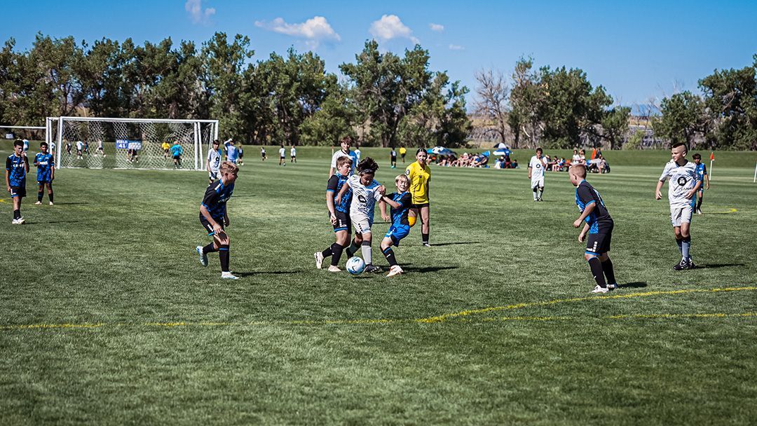 Soccer game on grassy field: players in blue and white jerseys, ball in play, sunny day.