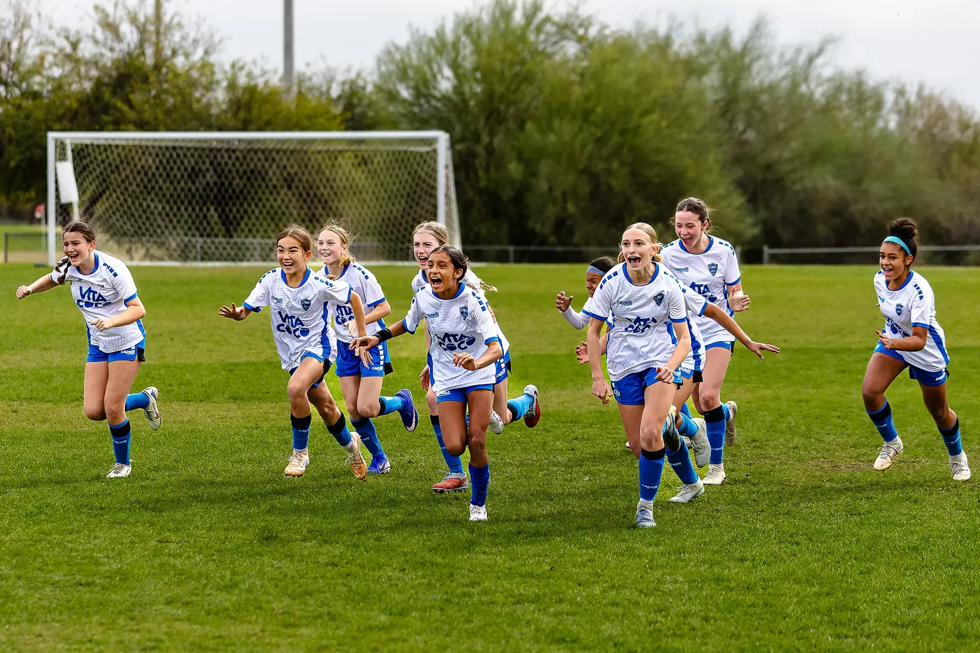 Soccer game on green field. Players in light blue and dark blue uniforms. Referee watches. Mountains in background.