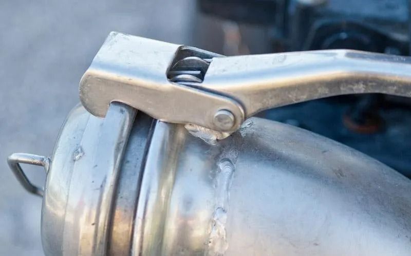 scarante autoespurghi