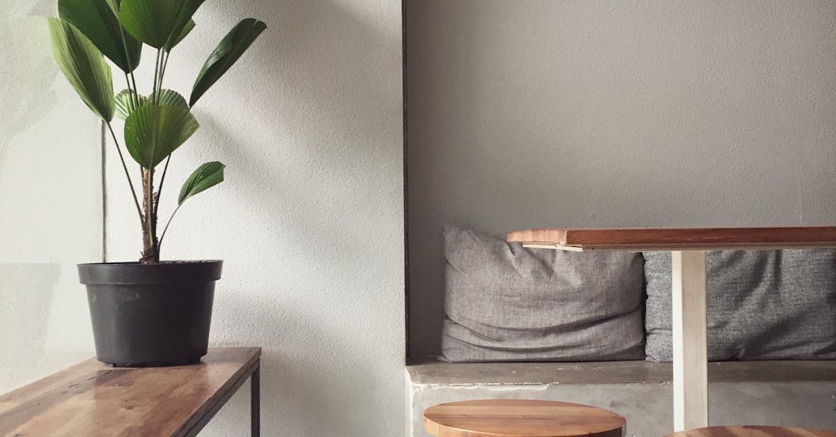 A potted plant is sitting on a wooden table in a room.