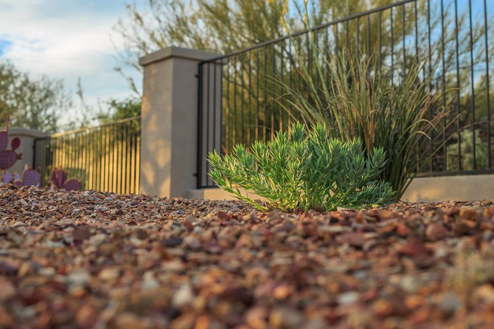 Brown Gravel, Green Plants — A&H Fences In Aylmerton, NSW