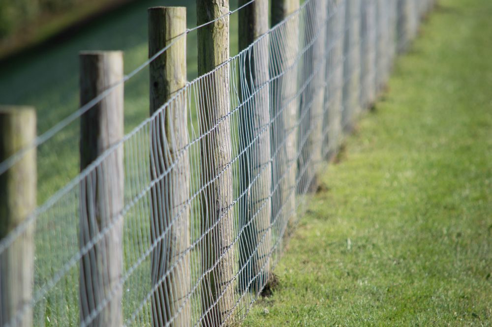 Wooden Fence With Wire Mesh in Green Grassy Field — A&H Fences In Moss Vale, NSW