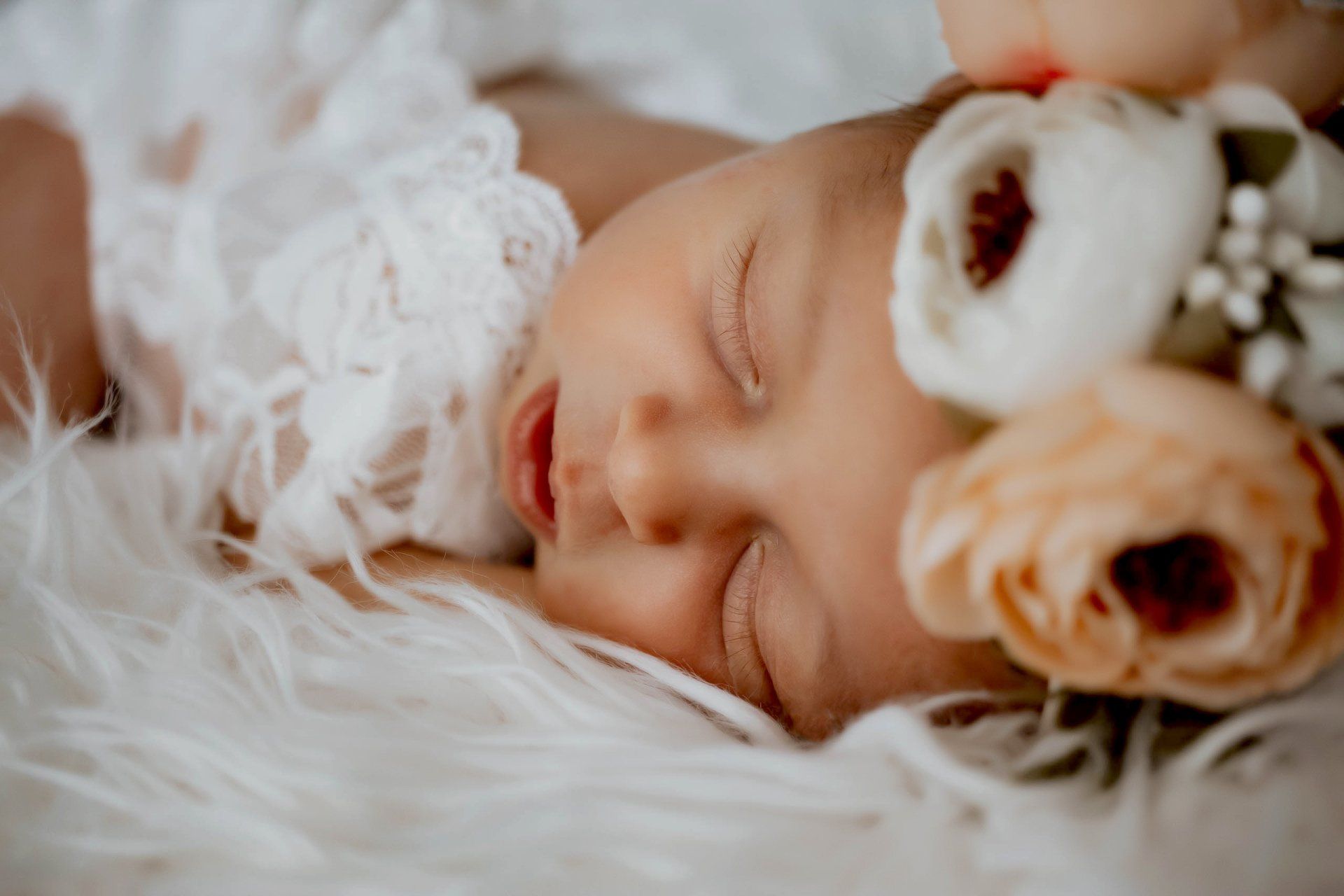 Newborn Photos | Land O Lakes, FL | Hk Photography