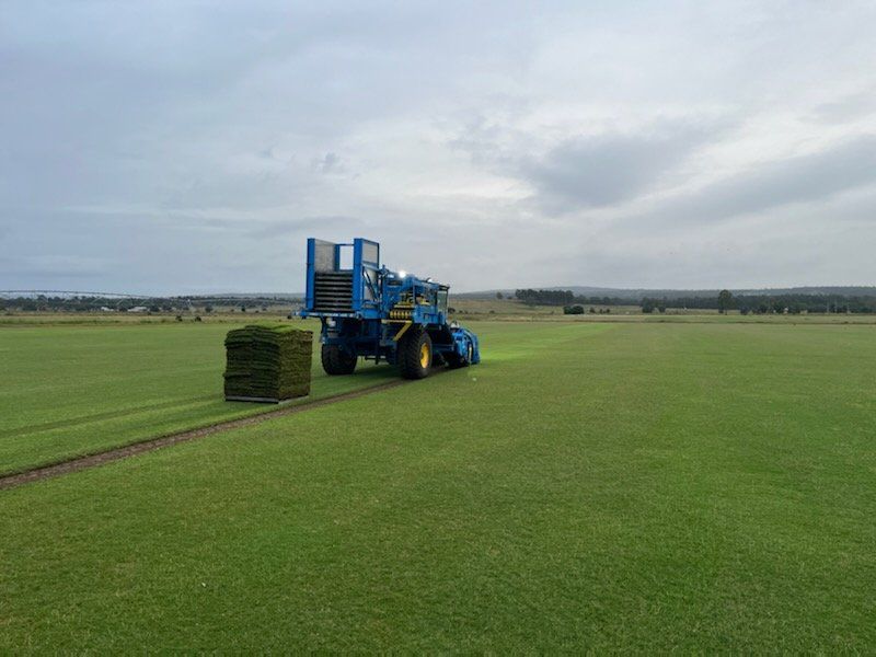 Gardener laying sod for the new lawn — Turf in Westbrook, QLD