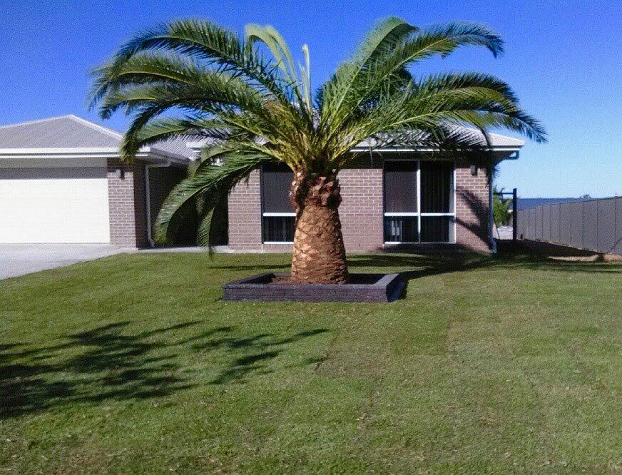 Residential Lawn — Zoysia in Helidon, QLD