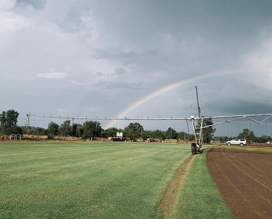View of a Green Lawn with Rainbow — Empire Zoysia in Helidon, QLD