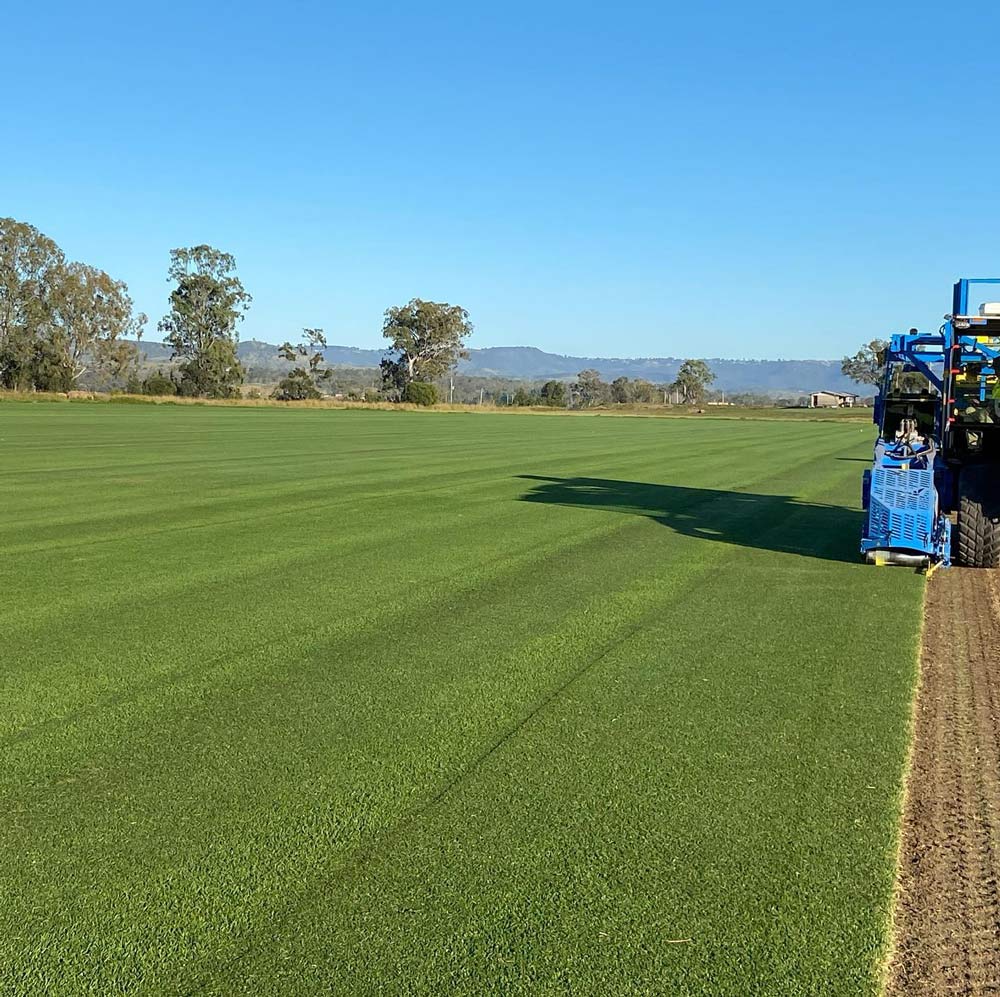 Truck Laying Turf Lawn — Wintergreen Couch in Helidon, QLD