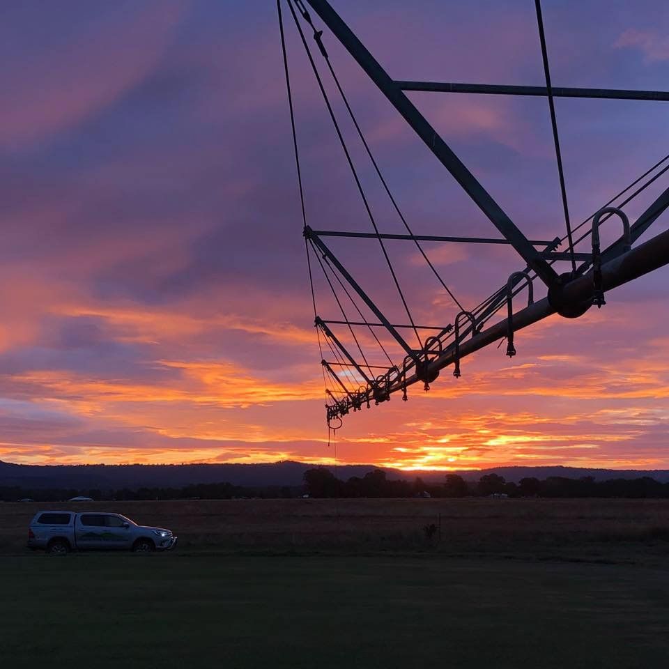 View of a Sunset with Green Lawn and Car — Turf Supplies in Helidon, QLD