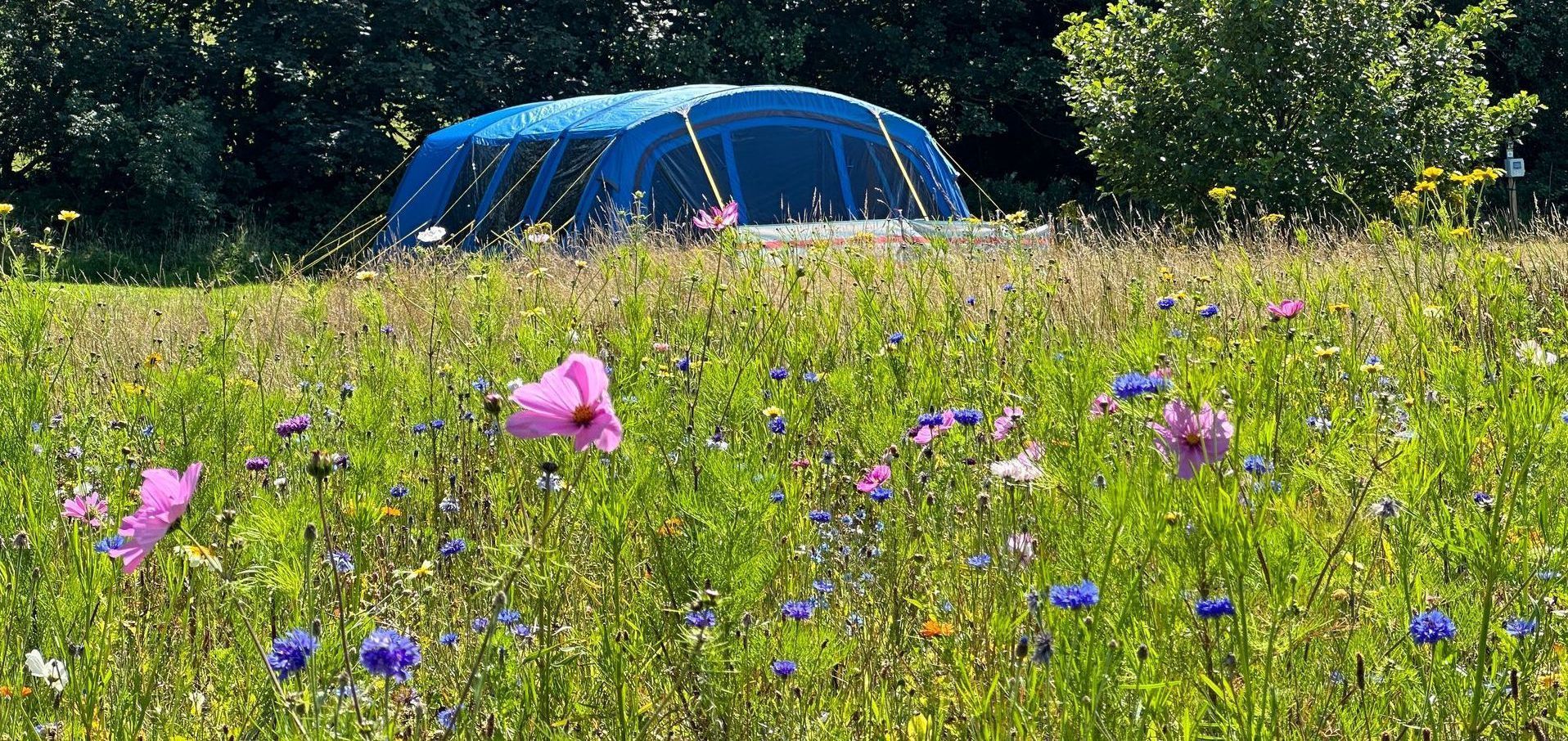 Rhyd y Galen Campsite
