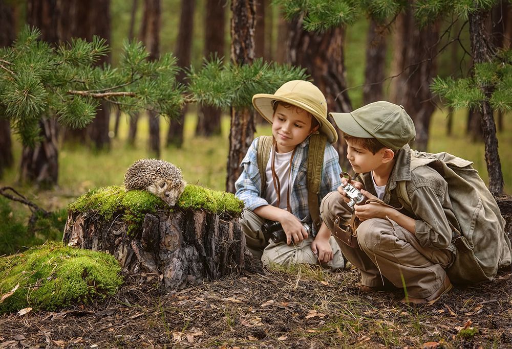 Make Yourselves a Hideout
