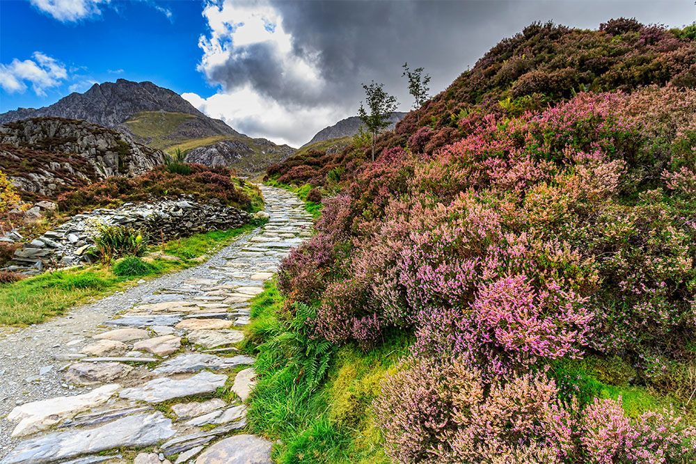 Snowdonia national park