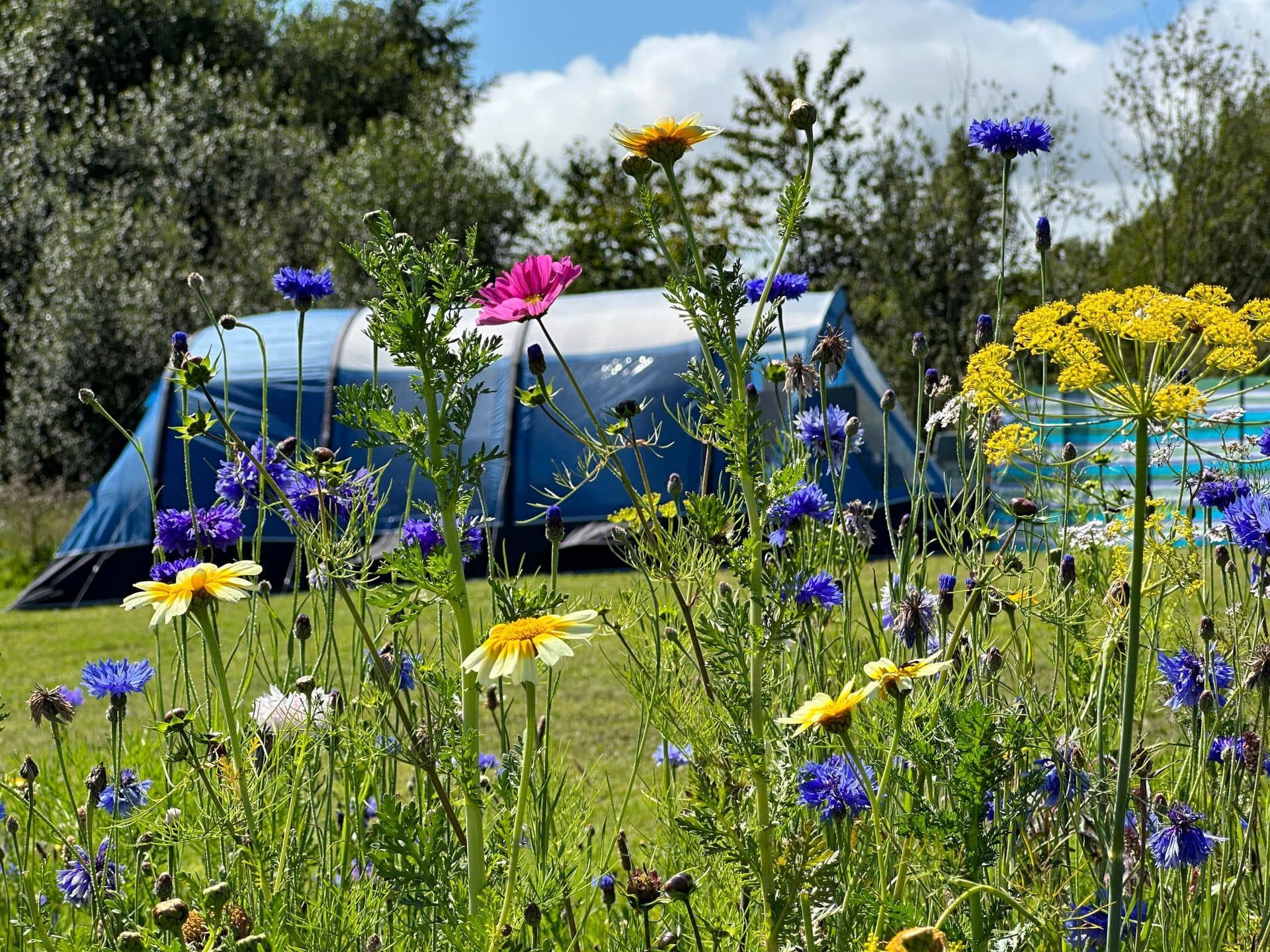 Caravan Park & Campsite in Snowdonia, North Wales