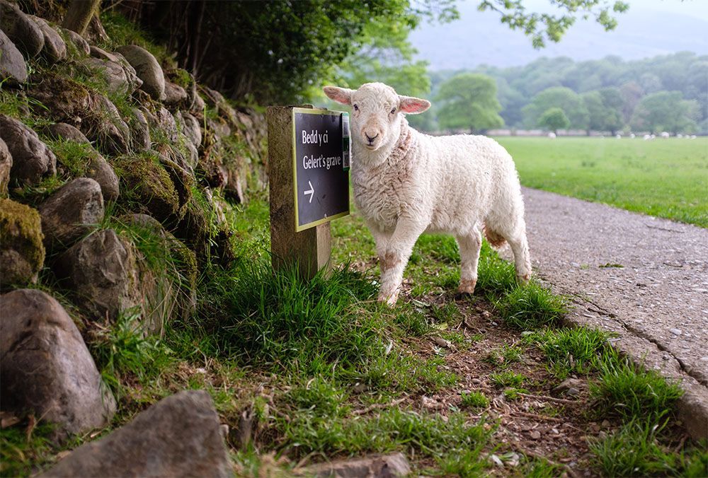Snowdonia national park